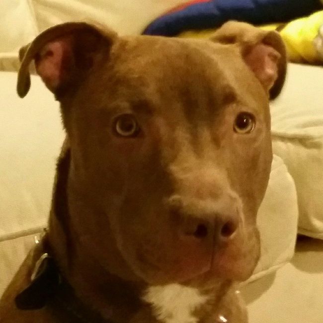 NWR: Show me your fur babies