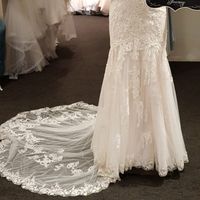 Petticoat or not - 1