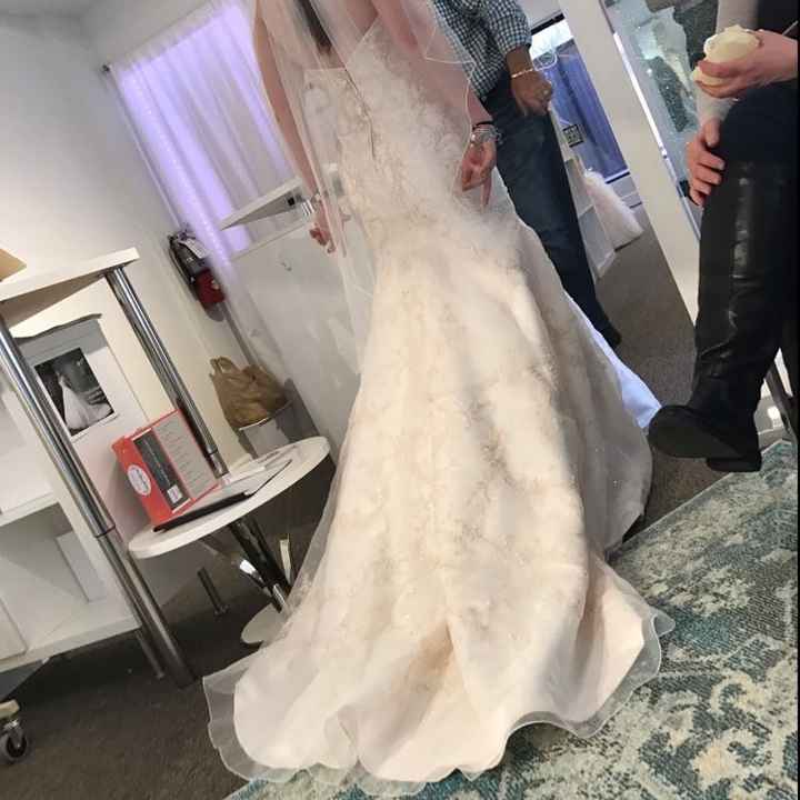 Blush bride in need of HELP!!