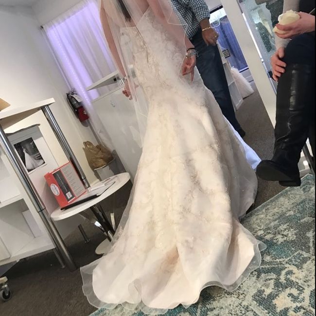 Blush bride in need of HELP!!