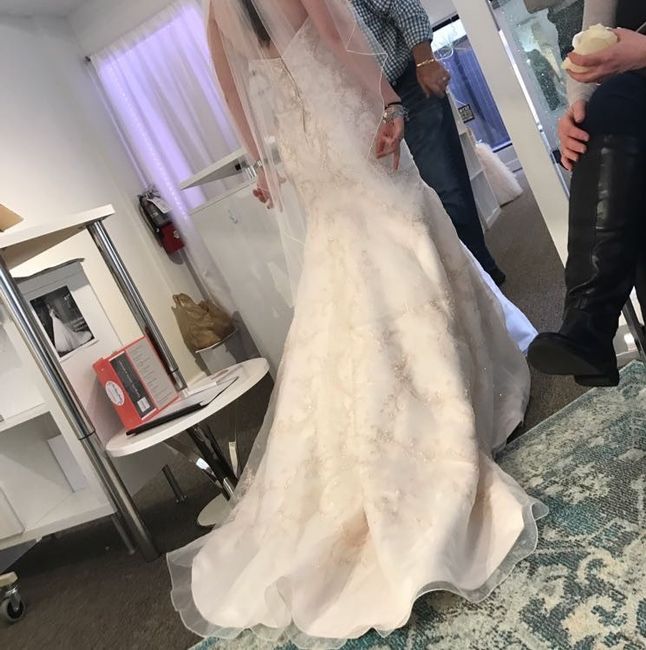Pink/blush wedding dresses!
