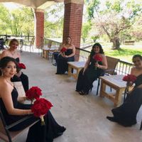 Red roses from Sams club and Costco has anyone use them lately? Would you recommend? - 4