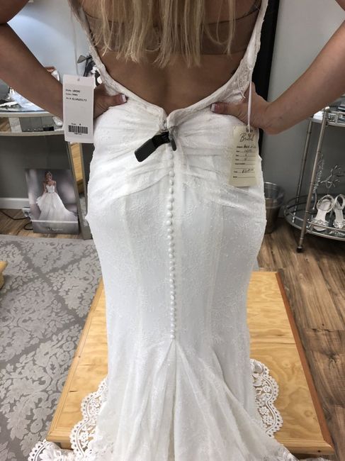 Which Dress? - 2