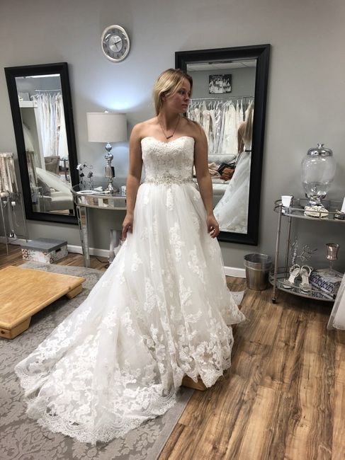 Which Dress? - 2