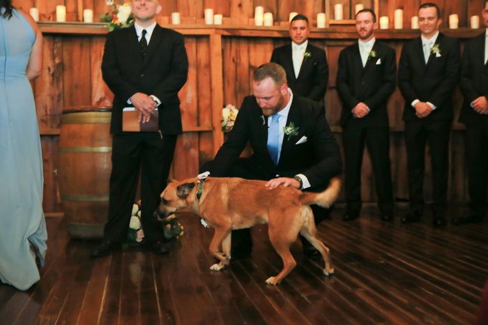 Our dog, Lucky, was our dog of honor.