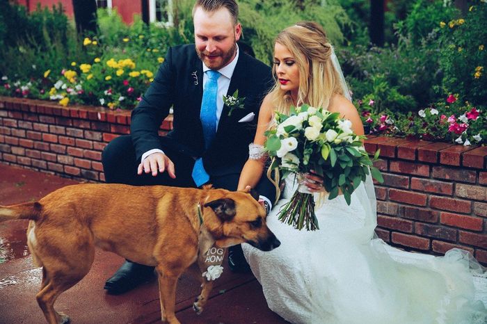 How much did you spend on flowers for your wedding? 1