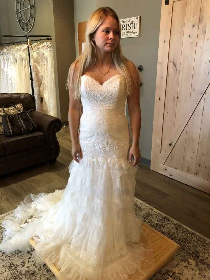 Which Dress? - 2