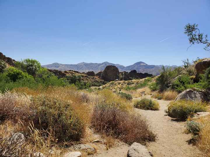 View from the hike we did!