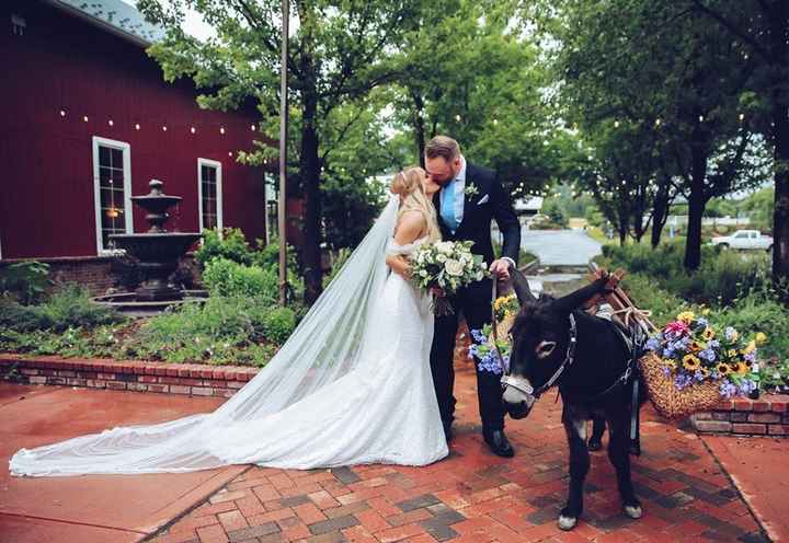 Mr. & Mrs. with Shaggy!