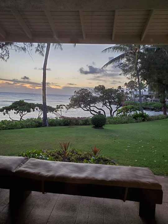 View from our cottage at Turtle Bay!