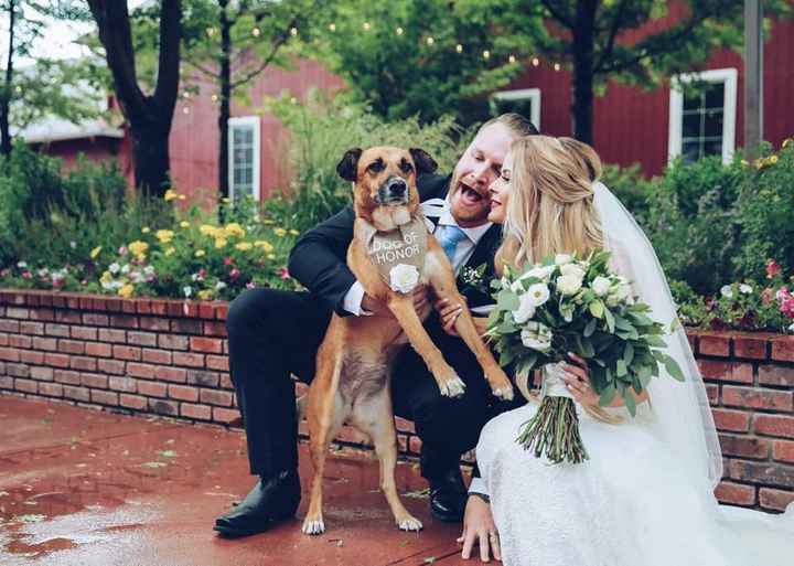 This is Lucky, our dog of honor! She walked down after our MOH during our ceremony then laid down by