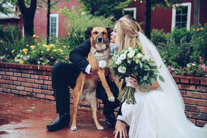 Our sweet dog of honor, Lucky.