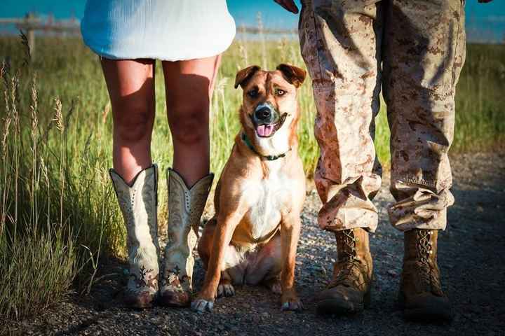 Pictures we took when my husband got out of the military.