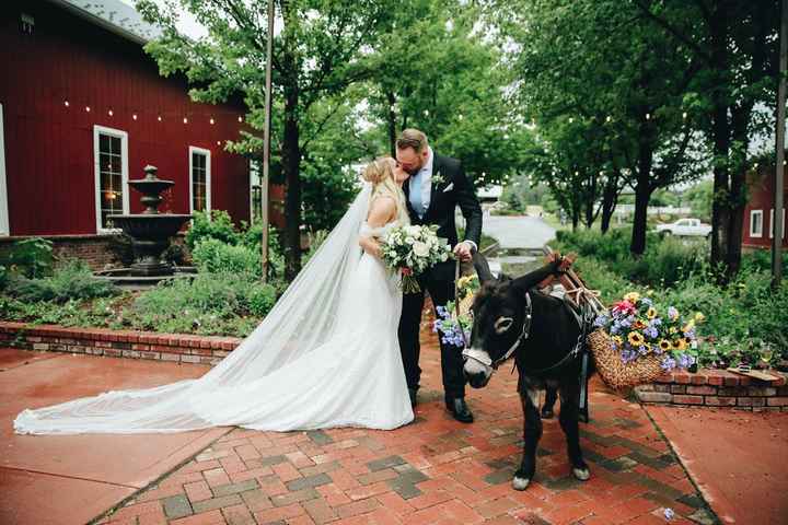 We hired a beer donkey for our wedding (probably the cheapest thing we got hahaha he was $200 for co