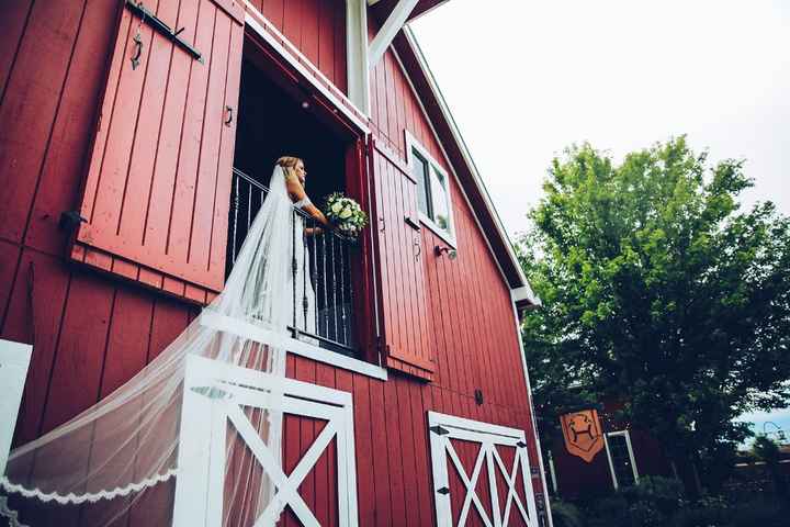 Show me your veil photos!! - 4