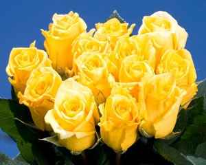 bouquets?