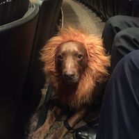 Just need to vent and cry a little