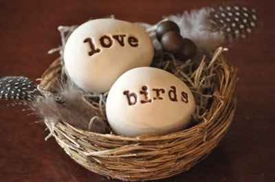 blue bird and branch theme?