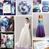 What goes with Teal/Turquoise?