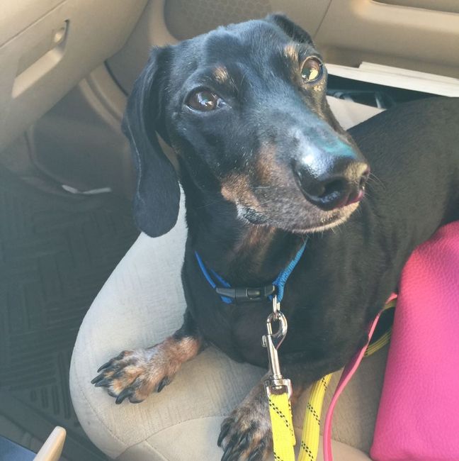 NWR: Puppy Friday!!