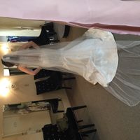 Ladies with illusion backs!? What veil are/did you wear!?