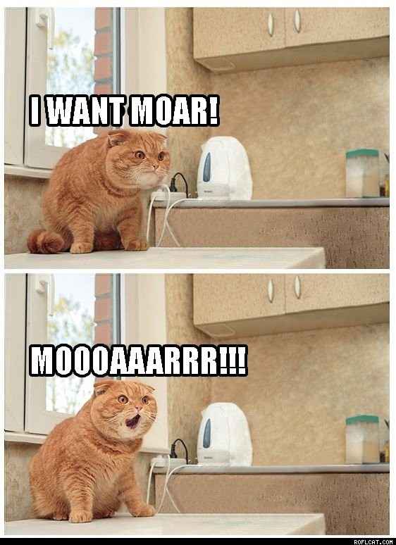 a not drunk, sobbing, dramatic BAM! (this is going to be long and pic heavy!)