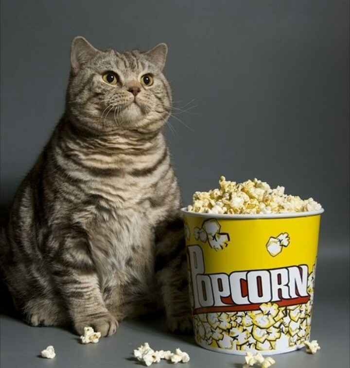 Communicating your HoneyFund registry