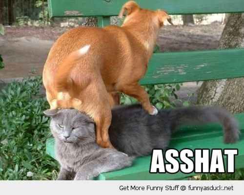 NWR - Vent, people can be really ignorant