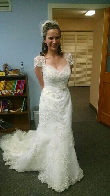 Need opinion on adding sleeves to my dress