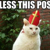 WW needs a cash account--let's pass the hat!