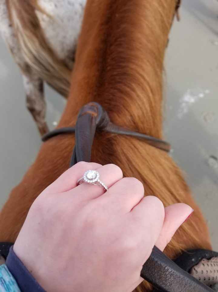 He proposed 12/14/19!