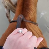 He proposed 12/14/19!