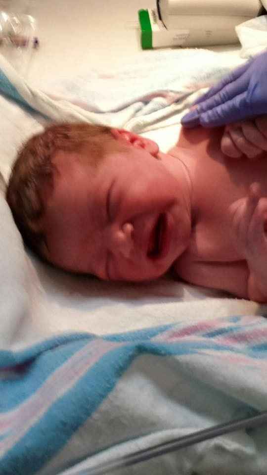 Back and Babied! Meet Theodore