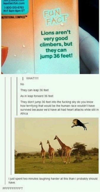 NWR: Favorite Memes!