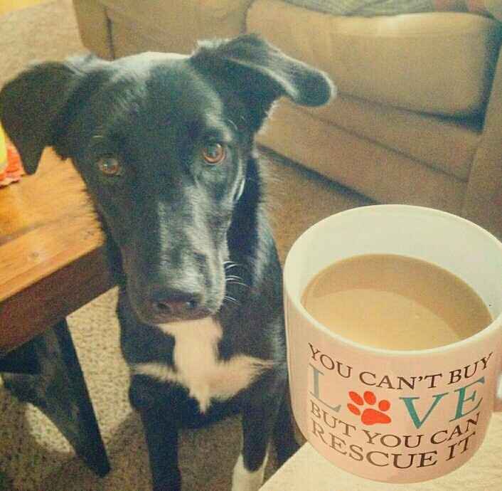 NWR: Show me your pups!