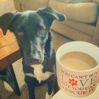 NWR: Show me your pups!