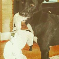 NWR: Show me your pups!