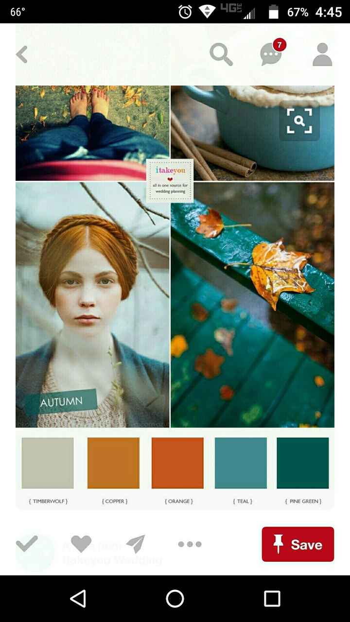 Please Help what are your wedding colors?