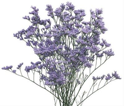 DIY Flower Selection- ***PIC HEAVY***