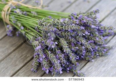 DIY Flower Selection- ***PIC HEAVY***