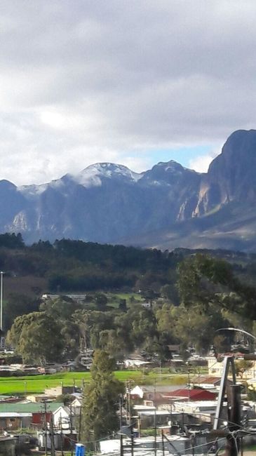 South African Honeymoon!