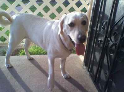 *NWR* Post pics of your furry (or not so furry) kids!