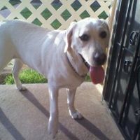 *NWR* Post pics of your furry (or not so furry) kids!