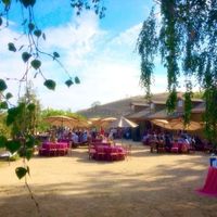 BAM!! Our day was WONDERFUL (Non-pro Pics)