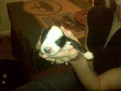 NWR -my christmas present!