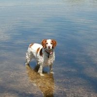 NWR: What kind of dog do you have?