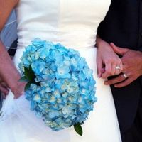 Tiffany Blue & Chocolate Brown Flower Ideas