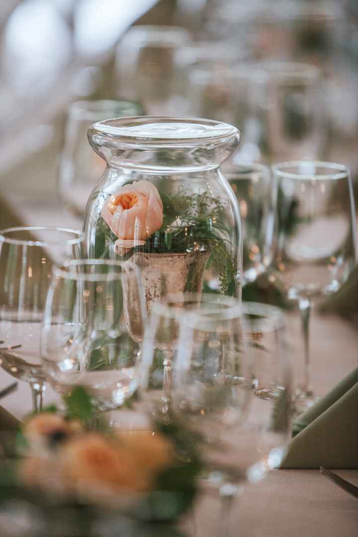 PRO BAM - a lot of pics to share!