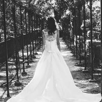 Veil Advice please?!