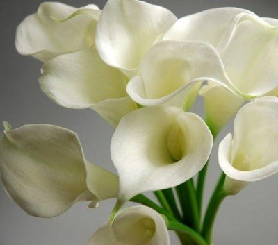 Silk flowers vs Fresh flowers